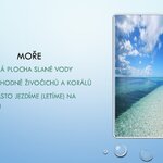 Rybičky a jejich prezentace za body navíc Rybičky a jejich prezentace za body navíc