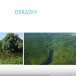 Prezentace o řece Dyji od Rybiček