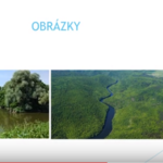 Prezentace o řece Dyji od Rybiček Prezentace o řece Dyji od Rybiček