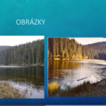 Rybičky a jejich další prezentace Rybičky a jejich další prezentace