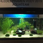 Akvárium od Erika z Aquateamu Akvárium od Erika z Aquateamu