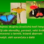 Koumáci a jejich prezentace! Koumáci a jejich prezentace!
