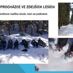 Netopýrci byli na ozdravném pobytu v Jeseníkách! Netopýrci byli na ozdravném pobytu v Jeseníkách!