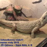 To musíte vidět! Originální a vtipný VODOSPOT od Vodníků! To musíte vidět! Originální a vtipný VODOSPOT od Vodníků!