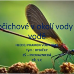 Víte jací živočichové žijí u vody? Jestli ne, tak Rybičky vám poradí! Víte jací živočichové žijí u vody? Jestli ne, tak Rybičky vám poradí!