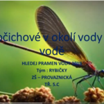 Víte jací živočichové žijí u vody? Jestli ne, tak Rybičky vám poradí!