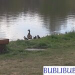 Pramen vody vidí Bublibubli všude tam, kde se podívají Pramen vody vidí Bublibubli všude tam, kde se podívají