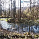 Vodochraňky hledají pramen vody Vodochraňky hledají pramen vody