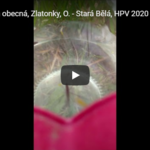 Zajímavosti o Bruslařce obecné se dozvíte z videa od Zlatonek Zajímavosti o Bruslařce obecné se dozvíte z videa od Zlatonek