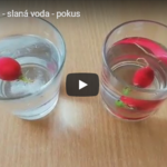 Hastrmánský pokus Hastrmánský pokus