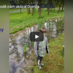 Život pod vodou očima Vodochraněk Život pod vodou očima Vodochraněk