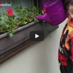 Den s vodou společně se Zlatonkama Den s vodou společně se Zlatonkama