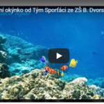 Relaxační okýnko od Sporťáků Relaxační okýnko od Sporťáků