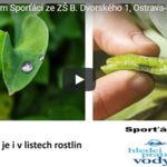 Kdo ještě potřebuje vodu? Vše vám poví Sporťáci Kdo ještě potřebuje vodu? Vše vám poví Sporťáci