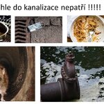 Sporťáci dostanou bodíky navíc Sporťáci dostanou bodíky navíc