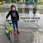 Co nám vzkazují Zlatonky? Co nám vzkazují Zlatonky?