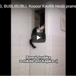 Děti z týmu Bublibubli mají posilu Děti z týmu Bublibubli mají posilu