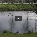Voda v okolí Ostravice od Zlatonek Voda v okolí Ostravice od Zlatonek
