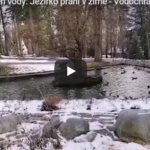 V Čeladné je hezky i v zimě, ví Vodochraňky V Čeladné je hezky i v zimě, ví Vodochraňky