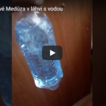 Medúza od Vodomilu Medúza od Vodomilu