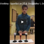 Jak obarvit květiny vám poradí Sporťáci Jak obarvit květiny vám poradí Sporťáci