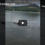 Hráčům pomáhá čtyřnohý kamarád Hráčům pomáhá čtyřnohý kamarád