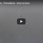 Život na řece od Water drops Život na řece od Water drops
