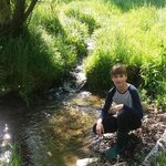 Zlatonky na procházce Zlatonky na procházce