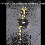 Sporťačka Iva potkala mloka Sporťačka Iva potkala mloka
