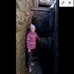 Supr videa týmu Želviček Supr videa týmu Želviček