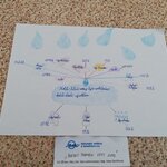 Kolik vody u čeho spotřebujeme? Kolik vody u čeho spotřebujeme?