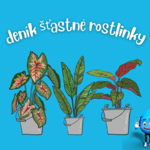 Deník šťastné rostlinky