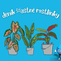 VODA je život aneb Deník šťastné rostlinky je úkolem trpělivosti! VODA je život aneb Deník šťastné rostlinky je úkolem trpělivosti!