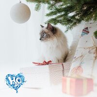 Veselé Vánoce a šťastný nový rok 2026